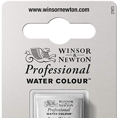 Winsor & Newton Acuarela Profesional - Pintura de Acuarela, Alta Luminosidad, Resistente a la Luz, Calidad de Archivo, 1/2 Godet, Color Tierra De Sombra Tostada