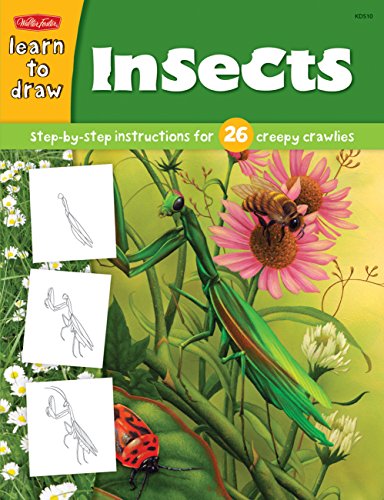 Learn to Draw Insects: Step-by-Step Instructions for 26 Creepy Crawlies