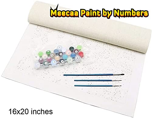 Meecaa Paint by Numbers - Juego de jarrón de crisantemo para adultos, principiantes, pintura al óleo, 40,6 x 50,8 cm (flor, sin marco)