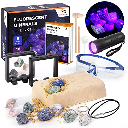 PP OPOUNT 28 Piezas Juego Excavación Piedras, Piedra Preciosa de Fluorita Real, Excavación Gemas con Herramientas y Accesorios de 18 Piezas, Buscando Minerales Regalo para Niños