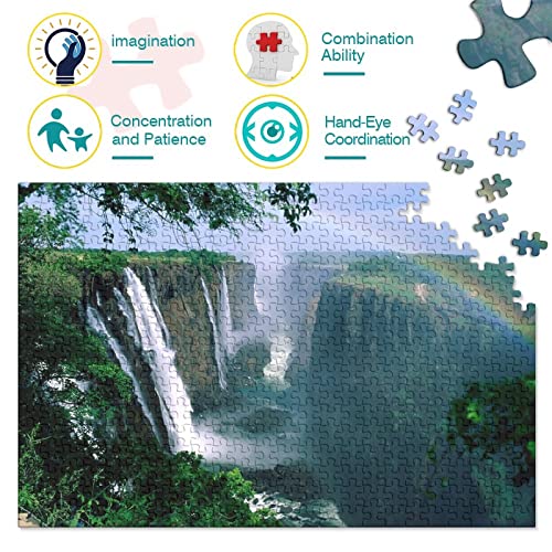 Puzzle para Adultos 1000 Piezas- Vitoria Falls -Puzzle para Adultos Y Niños，puzle Pedagógico,El Alivio del Estrés Juguete Relajante Juego Divertido。1000pcs (75x50cm)