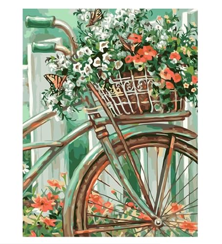 XCLTLSM Kit de pintura al óleo sin marco por números para adultos y niños, bicicleta, flores, principiantes a avanzados, divertidos proyectos de arte y manualidades para adultos, 40 x 50 cm